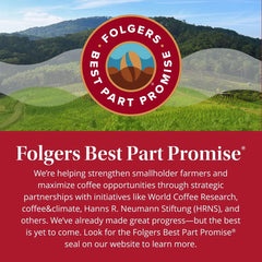 Folgers Classic Medium Roast Keurig K-Cup Coffee Pods - 10ct